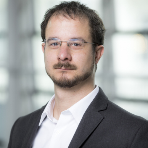 Dr Balint Diószegi